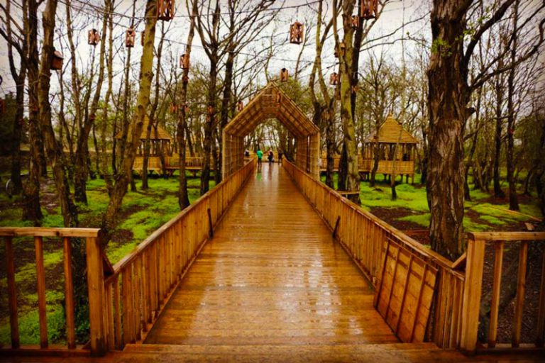 پل چوبی چمخاله (پارک جنگلی توسکا)